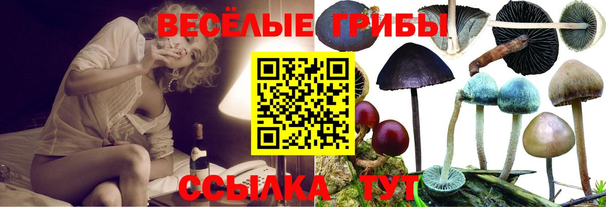 Галлюциногенные грибы мицелий  Вход с VPN  Псилоцибиновые грибы Psilocybine cubensis  где найти наркотики  Азов 
