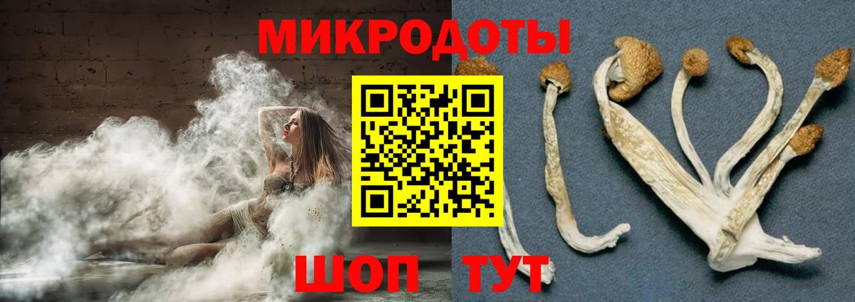 Псилоцибиновые грибы GOLDEN TEACHER Азов